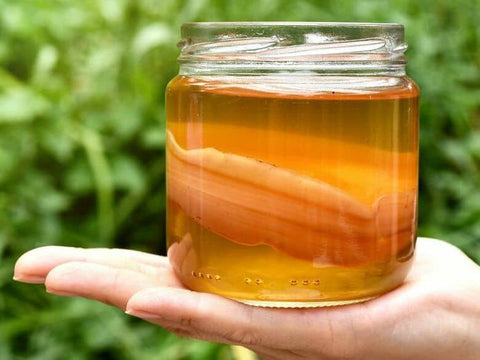 Aquela Kombucha: Um Fermentado Healthy Para Potenciar o Bem-estar