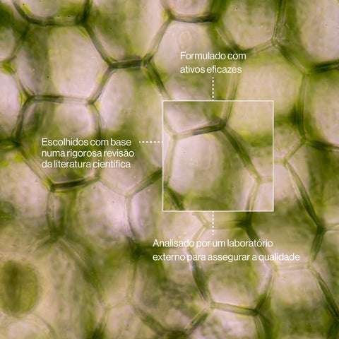 Comprovação científica do princípio ativo PhytoCellTec e propriedades